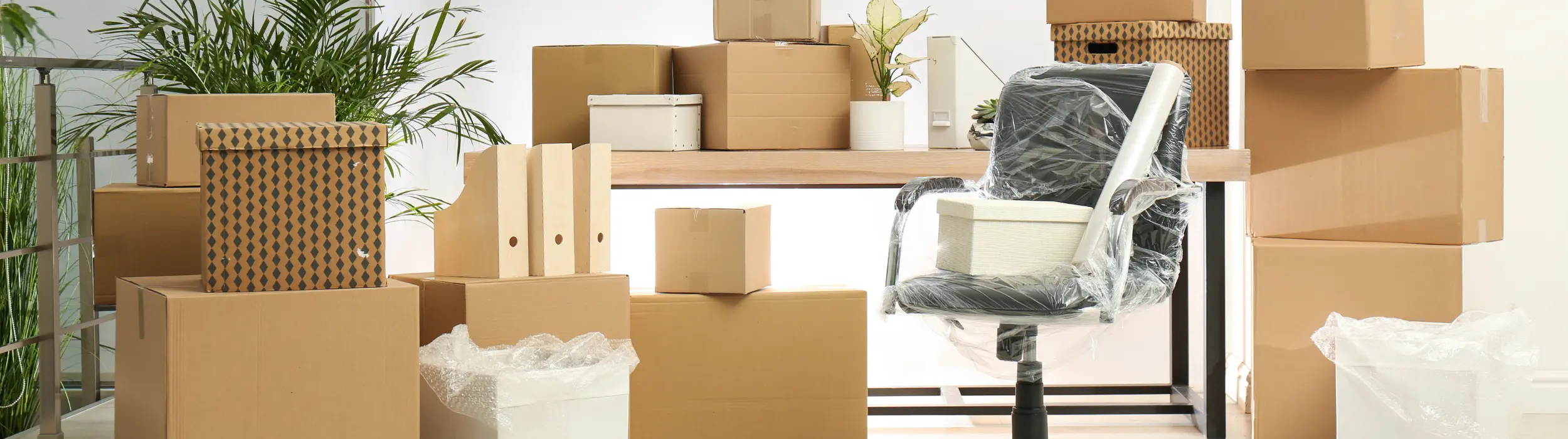 Professional moving services by Holman Moving